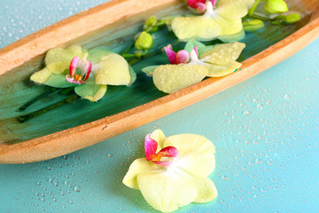 Beautiful orchid flowers in water close-up