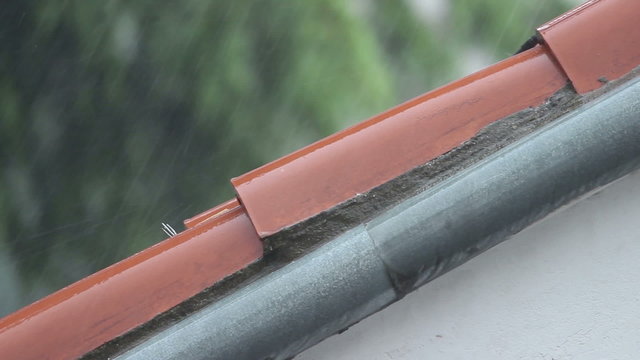 Rain on the roof