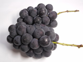 葡萄