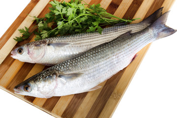 Fresh sea grey mullet with parsley ready to cooked