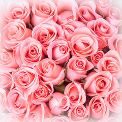 pink rose flower bouquet background