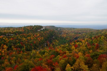 Mountain landscape with multicolored autumn trees.