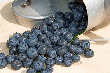 Heidelbeeren