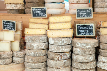 Farmer cheese on market counter