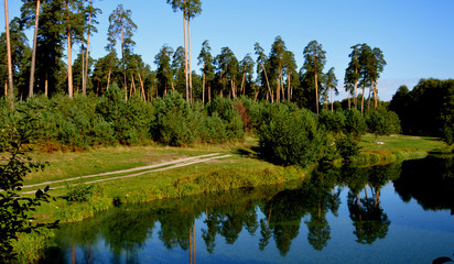 Дорога у пруда © pupulica