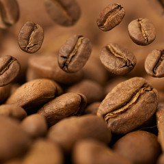 Closeup of coffee beans with focus on one