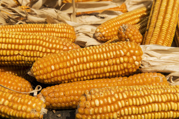dried corn on wooden cart thai Style ,Thailand