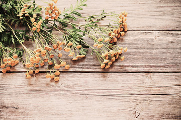 Yellow flowers of tansy on the wooden background