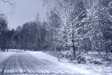 Winter road in snowy forest landscape