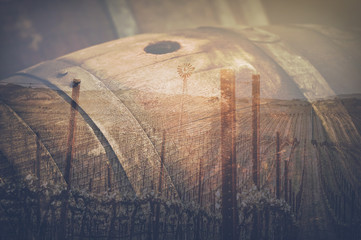 Wine Barrel outside in Retro Instagram Style - 78235957