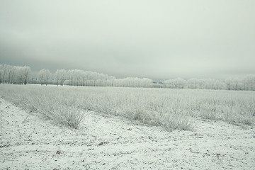 winter landscape nature without people