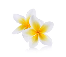 Fotobehang Frangipani Tropische bloemen frangipani (plumeria) geïsoleerd op witte backgro