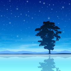 Tree with Night Sky