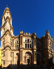 Fototapeta na wymiar Cathedral of Malaga. Andalusia, Spain