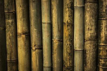 bamboo wall background and texture