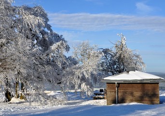 Verschneite Landschaft