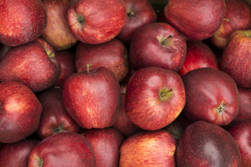 Close-up of red royal gala apples
