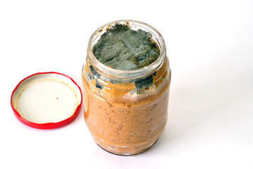 green mold on a jar of jam