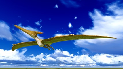 Flying pterodactyl © satori