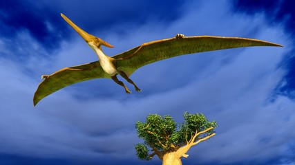 Flying pterodactyl © satori