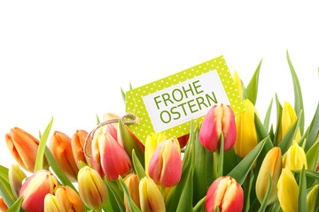 Ostern - Tulpen Freisteller
