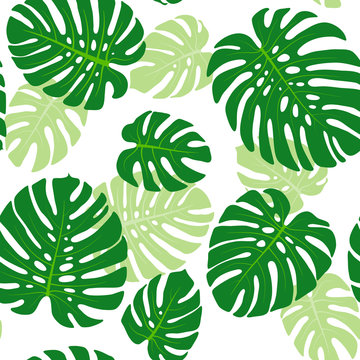 Seamless pattern with tropical leaves of monstera
