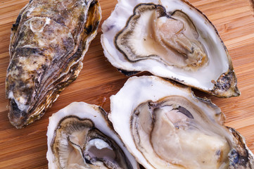 Gourmet fresh french oysters