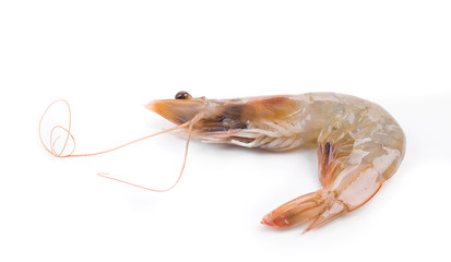 Tasty shrimp