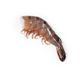 Tasty shrimp