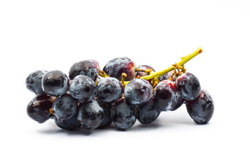 Blackcurrant on white background