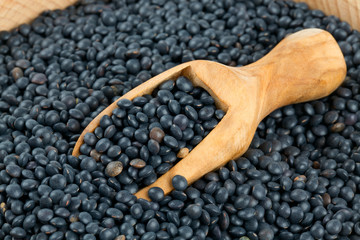 black lentils in a scoop