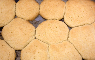 Homemade sugar cookies on pan