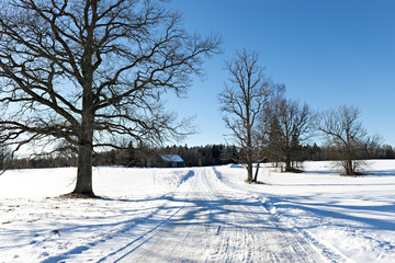 Obraz premium Countryside road by winter, Krimulda, Latvia