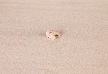 Lonely stone on the sand.