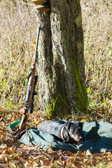 lying hunting dog with a weapon