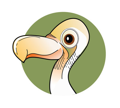 Bird dodo vector