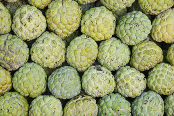 Background Fruit Annona Squamosa or Custard Apple