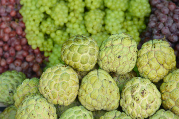 Annona Squamosa or Custard Apple