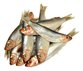 Fresh Fish Sprats