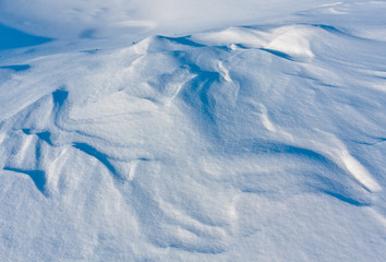 Snow texture on meadow