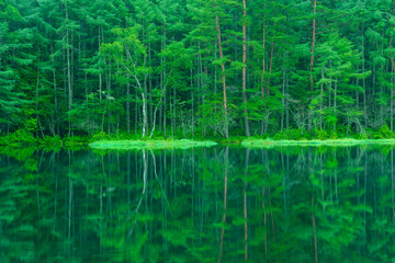 Mishaka Pond in Nagano, Japan