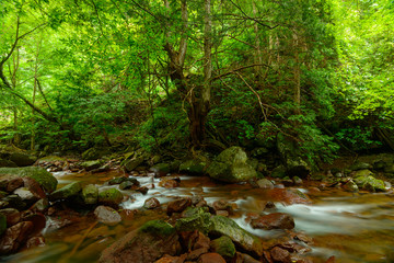 Yokoya valley near the Oku-Tateshina Hot Spring Village in Nagan