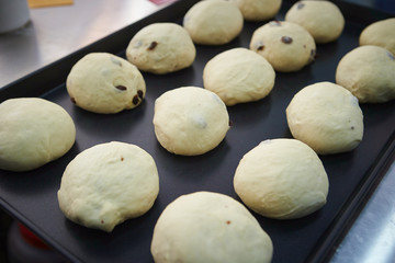Bread