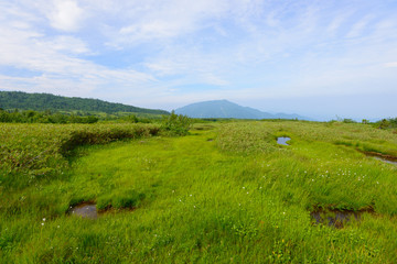Fototapeta na wymiar Midagahara in the Tateyama mountain range in Toyama, Japan