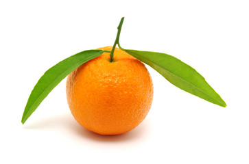mandarin