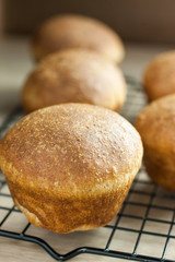 Whole Wheat Rolls