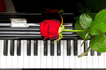 Piano in love