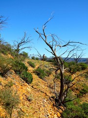Gammon Ranges National Park, South Australia