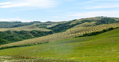 Asciano (Siena, Tuscany)