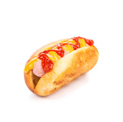 Tasty grilled hotdog